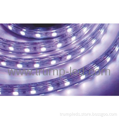 Ruban bandeau LED Strip 60 LED/m - IP65 - 220V